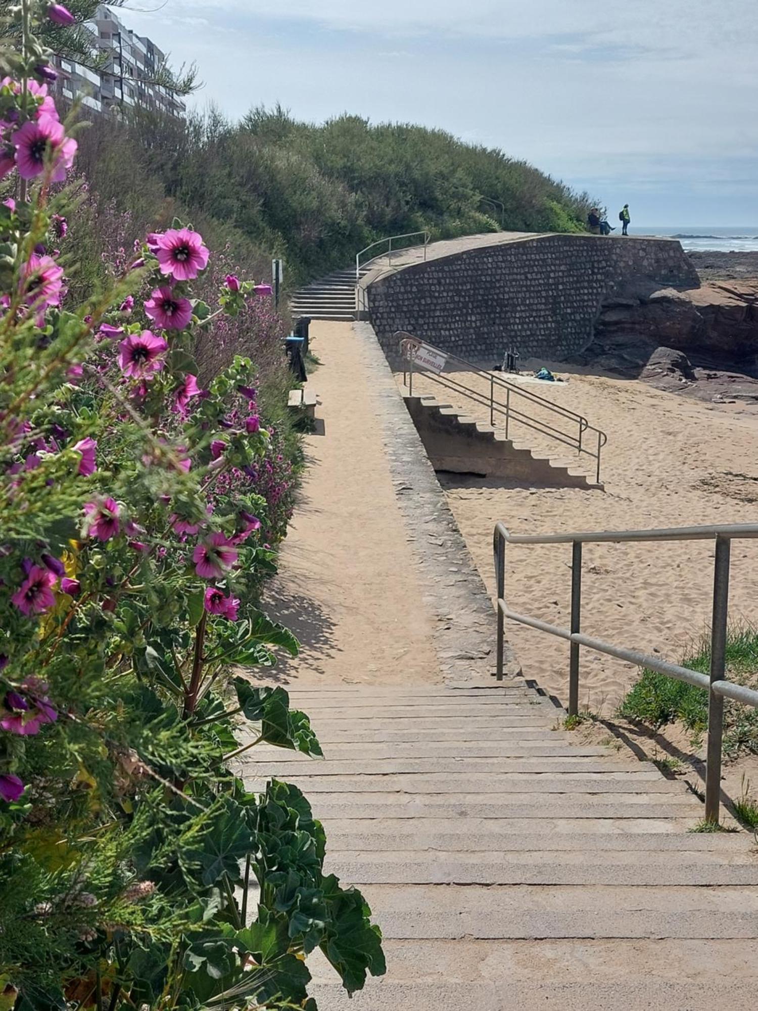 Studio La Salicorne Au Sables D'Olonne Les Sables-d'Olonne Bagian luar foto